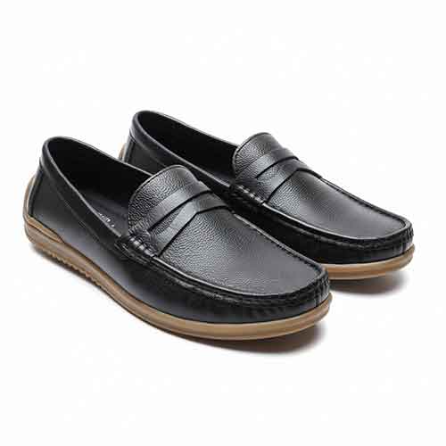 E One Collection